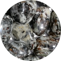 Crystal Astrophyllite Ewald Kliegel - selected by Walter von Holst