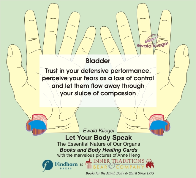 Reflexology on the Hand - Bladder – Ewald Kliegel (c)