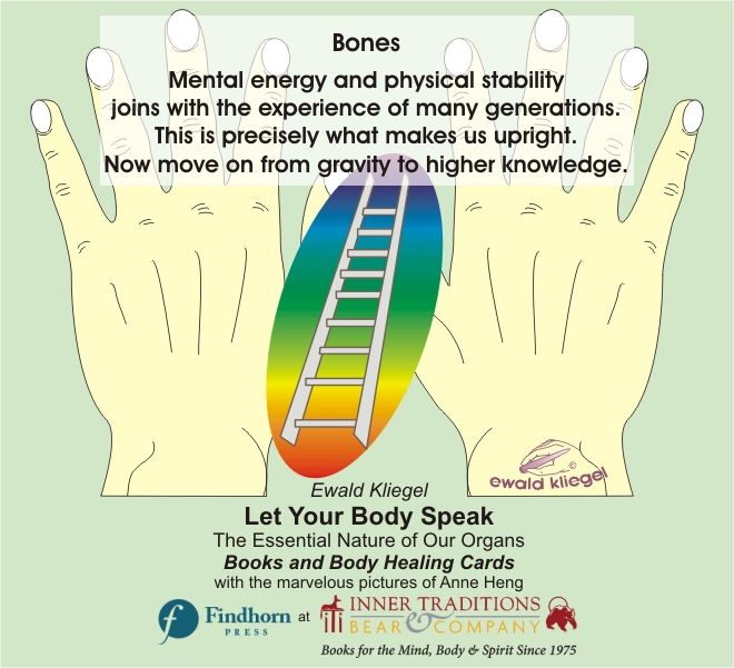 Reflexology on the Hand - Bones– Ewald Kliegel (c)