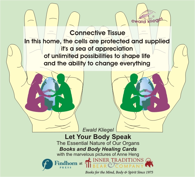 Reflexology on the Hand - Connective Tissue – Ewald Kliegel (c)