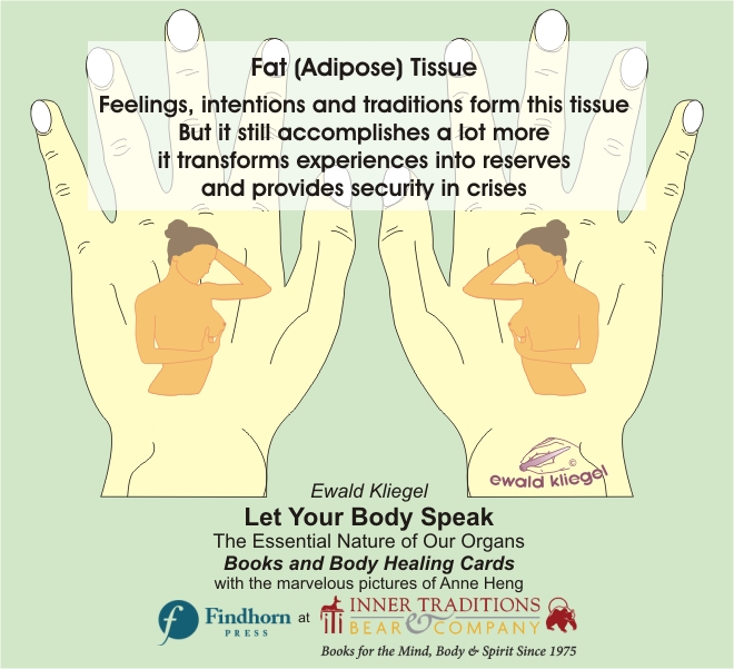 Reflexology on the Hand - Fat (adipose) tissue – Ewald Kliegel (c)