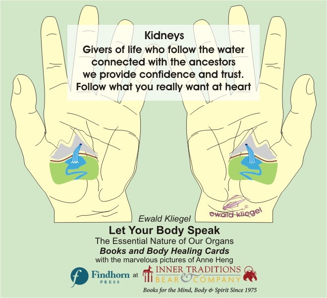 Reflexology on the Hand - Kidneys – Ewald Kliegel (c)