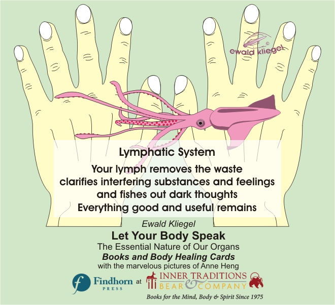 Reflexology on the Hand - Lymphatic system – Ewald Kliegel (c)