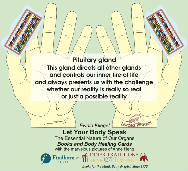 Reflexology on the Hand - Pituitary gland – Ewald Kliegel (c)