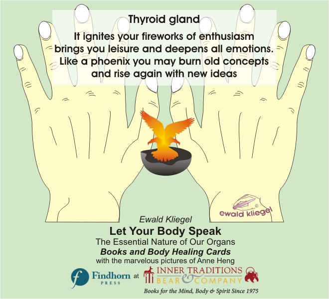 Reflexology on the Hand - Thyroid gland – Ewald Kliegel (c)