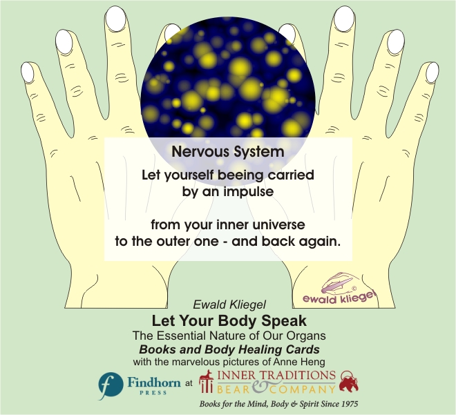 Reflexology on the Hand - Nervous system – Ewald Kliegel (c)